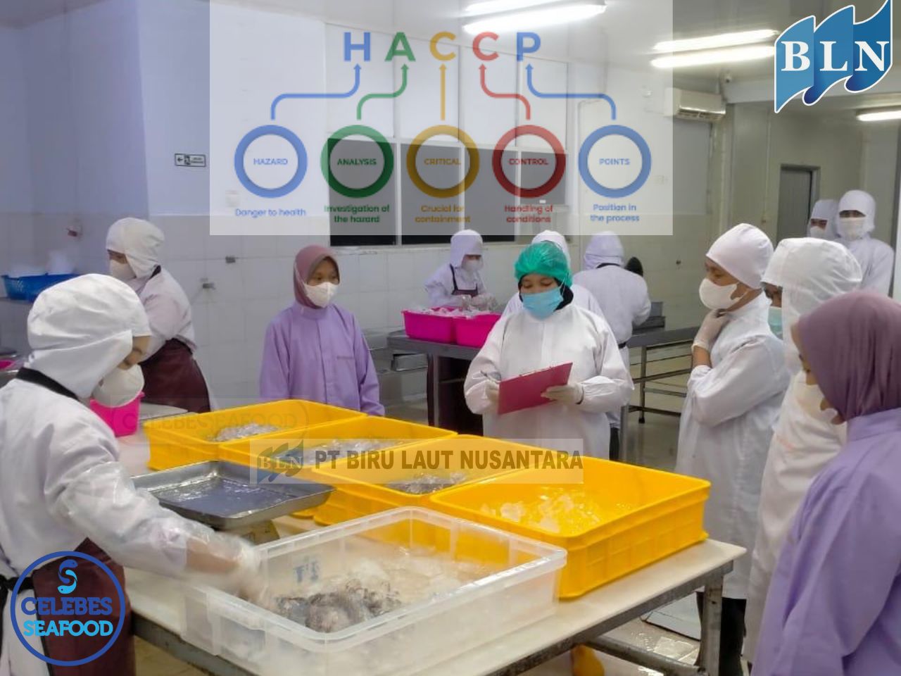 The following is the Application of Hazard Analysis Critical Control Point (HACCP) in the Fishing Industry